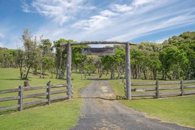 Acreage/Semi-rural For Sale - NSW - Crescent Head - 2440 - Private Eco Retreat Where Bush Meets The Sea (Image 2)