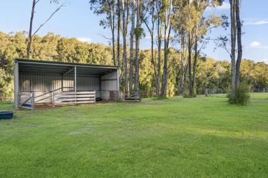 Acreage/Semi-rural For Sale - NSW - Crescent Head - 2440 - A Luxury Retreat Estate Unlike Anything Else in Crescent Head  (Image 2)