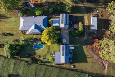 Other (Rural) For Sale - NSW - Barraganyatti - 2441 - 40 Acres of Freehold Country Living with Established Netted Blueberries  (Image 2)