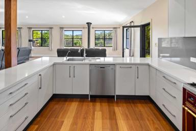 Other (Rural) For Sale - NSW - Barraganyatti - 2441 - Blueberry Greens – A Working Farm with Modern Homestead & Established Income (Image 2)