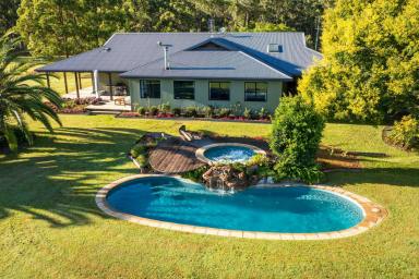Other (Rural) For Sale - NSW - Barraganyatti - 2441 - Blueberry Greens – A Working Farm with Modern Homestead & Established Income (Image 2)