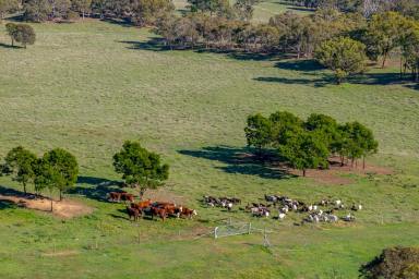 Lifestyle Auction - NSW - Goulburn - 2580 - 'Strathrock' at Yarra 
Location, Privacy and Scale  (Image 2)