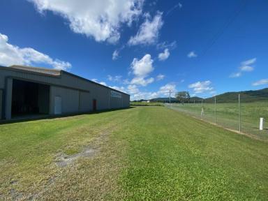 Industrial/Warehouse For Lease - QLD - Calen - 4798 - LEASING INDUSTRIAL SHED CALEN  (Image 2)
