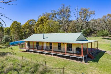 Lifestyle Auction - NSW - Lyndhurst - 2350 - Creekfront Lifestyle on 183 Acres with updated Homestead & Excellent Infrastructure  (Image 2)
