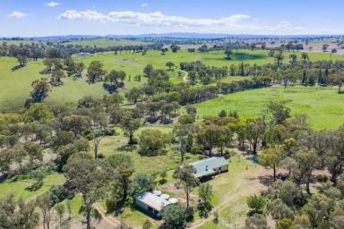 Lifestyle Auction - NSW - Lyndhurst - 2350 - Creekfront Lifestyle on 183 Acres with updated Homestead & Excellent Infrastructure  (Image 2)