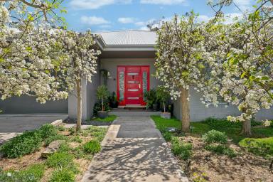 House For Sale - NSW - Mudgee - 2850 - LUXURIOUS GOLF COURSE RESIDENCE  (Image 2)