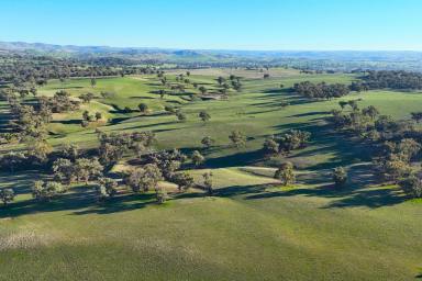 Mixed Farming Auction - NSW - Jugiong - 2726 - PRIME 1,042 ACRE AGRICULTURAL HOLDING  (Image 2)