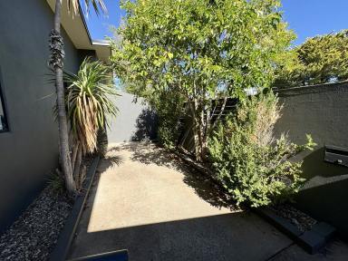 Unit For Lease - NSW - Cooma - 2630 - 2/142 Vale Street, Cooma  (Image 2)