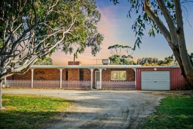 Acreage/Semi-rural For Lease - SA - Red Creek - 5255 - Country Escape (Image 2)