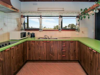 House For Sale - VIC - Forge Creek - 3875 - 45 Acres - Mountain Views  (Image 2)