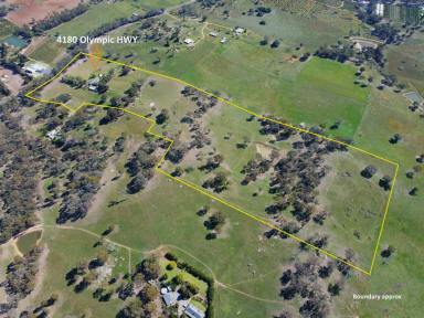 House For Sale - NSW - Young - 2594 - Lovely Family Home on 47.5 Acres.  (Image 2)