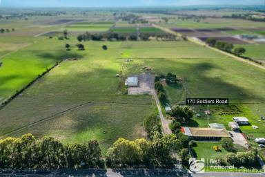 Lifestyle For Sale - VIC - Lang Lang - 3984 - 22 ACRE HOBBY FARM WITH LOADS OF POTENTIAL!!!  (Image 2)