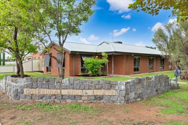 House For Sale - VIC - Mildura - 3500 - Spacious Four Bedroom Home  (Image 2)