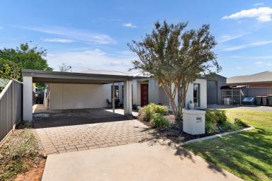 House For Sale - VIC - Red Cliffs - 3496 - Huge Shed and Practical Living in Quiet Court Location  (Image 2)