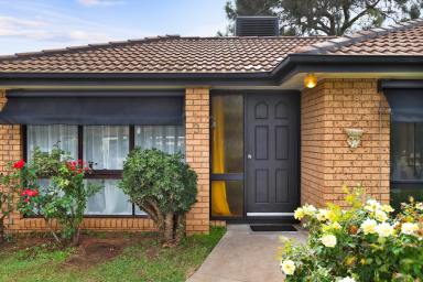 House For Sale - VIC - Irymple - 3498 - Court Location, Renovated Kitchen, Real Opportunity  (Image 2)