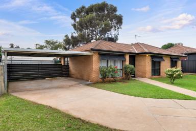 House For Sale - VIC - Irymple - 3498 - Court Location, Renovated Kitchen, Real Opportunity  (Image 2)