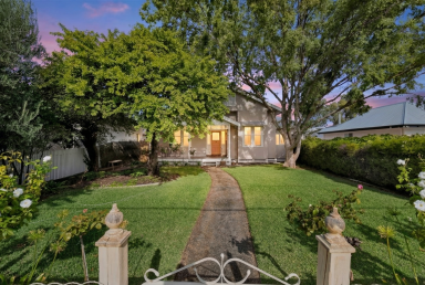 House Auction - VIC - Irymple - 3498 - Rare 2,155sqm in Irymple - Character Renovation with Serious Shedding  (Image 2)