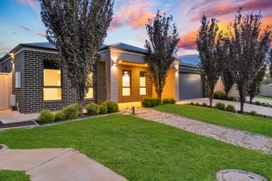 House For Sale - VIC - Irymple - 3498 - Modern Comfort With Flexible Living  (Image 2)
