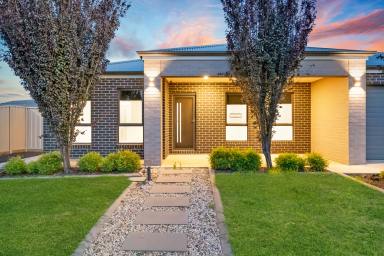 House For Sale - VIC - Irymple - 3498 - Modern Comfort With Flexible Living  (Image 2)