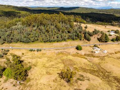 House For Sale - TAS - Frankford - 7275 - A Century Old Holding Ready for Revival  (Image 2)