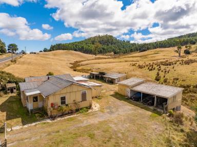 House For Sale - TAS - Frankford - 7275 - A Century Old Holding Ready for Revival  (Image 2)