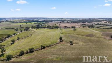 Residential Block For Sale - SA - Moculta - 5353 - Rare opportunity to secure tightly held farming property in Moculta….  (Image 2)