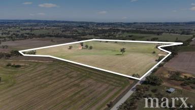 Residential Block For Sale - SA - Moculta - 5353 - Rare opportunity to secure tightly held farming property in Moculta….  (Image 2)