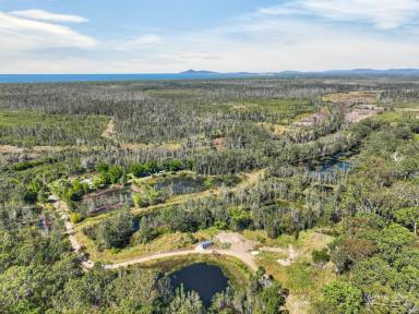 Lifestyle For Sale - NSW - Hallidays Point - 2430 - Unique Rural Holding with Existing Quarry Approval – Minutes to the Coast  (Image 2)