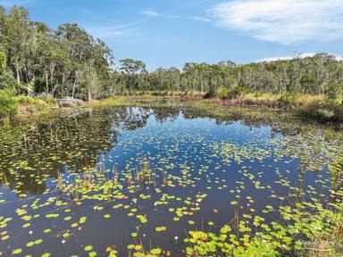 Lifestyle For Sale - NSW - Hallidays Point - 2430 - Unique Rural Holding with Existing Quarry Approval – Minutes to the Coast (Image 2)