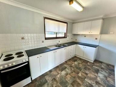 Unit For Lease - NSW - Tamworth - 2340 - TIDY UNIT IN CONVENIENT LOCATION  (Image 2)