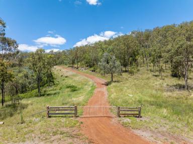 Farmlet For Sale - QLD - West Haldon - 4359 - “Bull Hill North”  (Image 2)