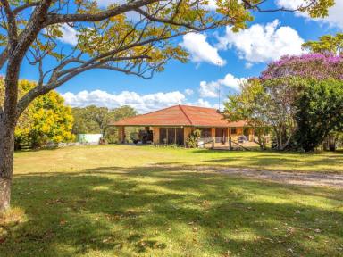 House For Sale - NSW - Mitchells Island - 2430 - WELCOME TO RIPLEY LODGE - A HORSE LOVERS DREAM  (Image 2)