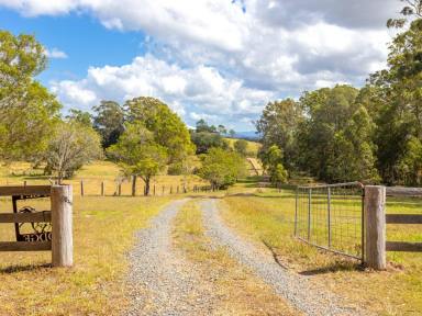 House For Sale - NSW - Mitchells Island - 2430 - WELCOME TO RIPLEY LODGE - A HORSE LOVERS DREAM  (Image 2)