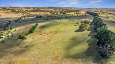 Mixed Farming Auction - NSW - Crookwell - 2583 - Space, views and a place to build your dream home  (Image 2)