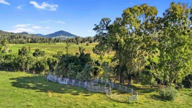 Residential Block For Sale - QLD - Glastonbury - 4570 - Ideal Cattle Fattening Block  (Image 2)