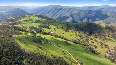 Livestock For Sale - VIC - Licola - 3858 - Lot 2 – 914 Target Creek Road, Licola  (Image 2)