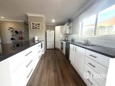 House For Sale - NSW - Inverell - 2360 - Fully Renovated & Ready to Enjoy!  (Image 2)
