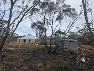 Acreage/Semi-rural For Sale - SA - Fisher - 5354 - Unique, secluded, bushland lifestyle opportunity  (Image 2)