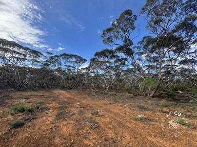 Acreage/Semi-rural For Sale - SA - Fisher - 5354 - Unique, secluded, bushland lifestyle opportunity  (Image 2)