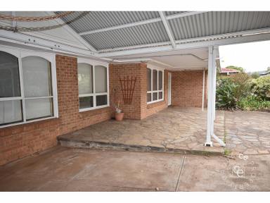 House For Lease - SA - Ridgehaven - 5097 - Furnished, Comfortable home with inground pool  (Image 2)