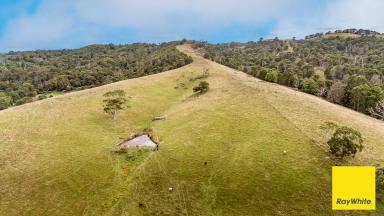 Other (Rural) For Sale - VIC - Toora - 3962 - Grazing / Turnout Block - Toora  (Image 2)