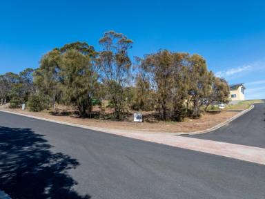 Residential Block For Sale - TAS - Coles Bay - 7215 - Charm, Calm & Cleverly Cleared  (Image 2)