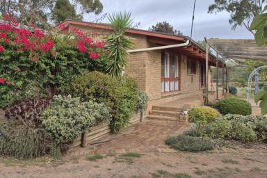 Acreage/Semi-rural Leased - SA - Kalbeeba - 5118 - Peaceful Country Living Close to Town (Image 2)