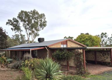 Acreage/Semi-rural Leased - SA - Kalbeeba - 5118 - Peaceful Country Living Close to Town (Image 2)