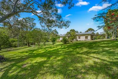 Acreage/Semi-rural Sold - NSW - Gloucester - 2422 - Relax, Live, Grow - Your Peaceful Lifestyle Awaits on 22 Acres  (Image 2)