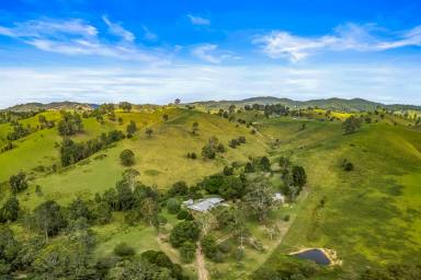 Acreage/Semi-rural Sold - NSW - Gloucester - 2422 - Relax, Live, Grow - Your Peaceful Lifestyle Awaits on 22 Acres  (Image 2)