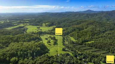 Acreage/Semi-rural For Sale - NSW - Bellingen - 2454 - Spectacular Sunrise  (Image 2)