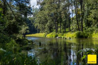 Acreage/Semi-rural For Sale - NSW - Bellingen - 2454 - Spectacular Sunrise  (Image 2)