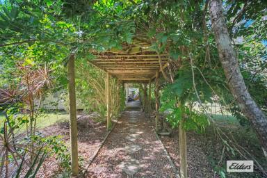 Acreage/Semi-rural For Sale - NSW - Old Bar - 2430 - Live, Invest or Expand. Versatile Acreage Close to the Coast  (Image 2)