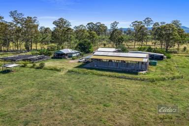House For Sale - QLD - Munna Creek - 4570 - PRODUCTIVE RURAL HOLDING WITH WATER SECURITY, INCOME & LIEFESTYLE APPEAL  (Image 2)